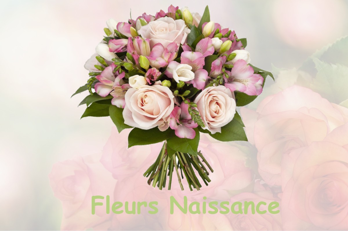 fleurs naissance FRENES